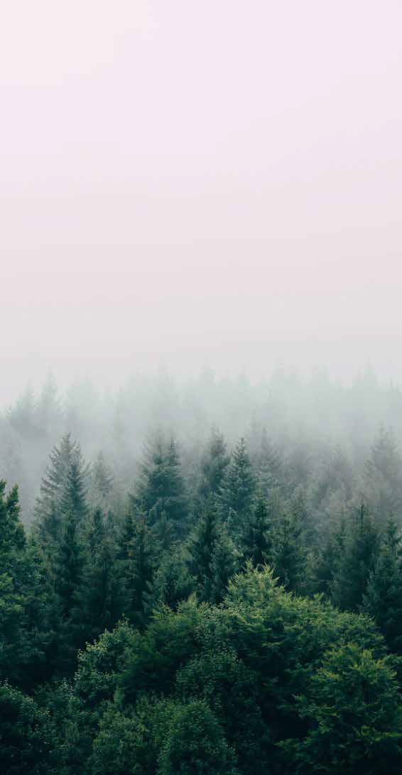 Great Pacific Gold Brand Identity 2