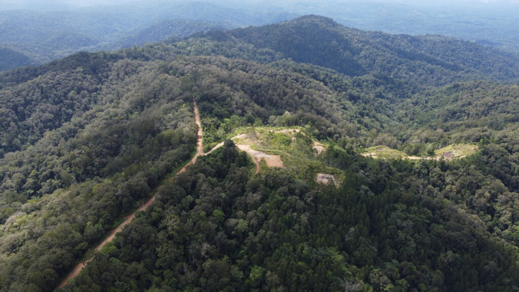 Dcim101mediadji 0012.jpg