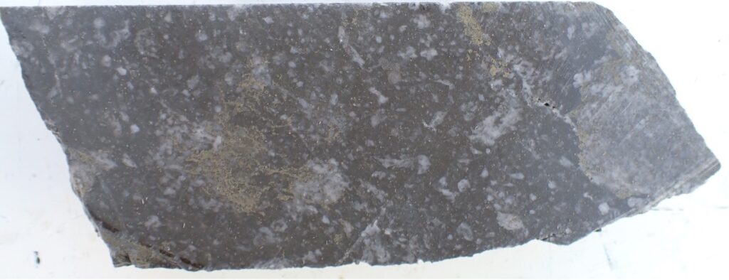 Picture14