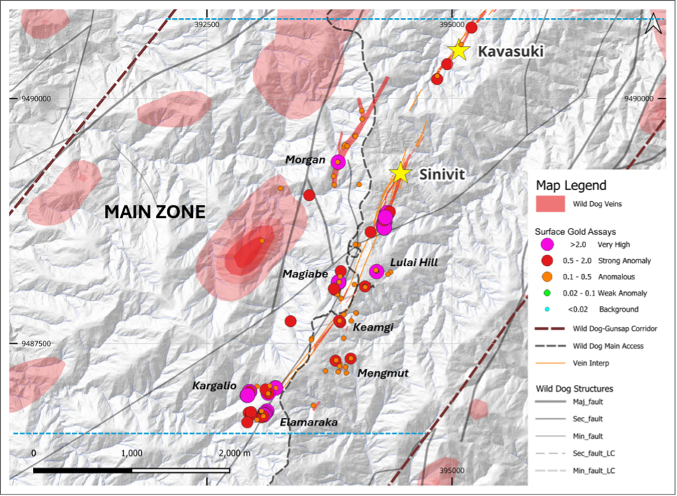 Figure 6. Significant surface gold assay results from recent mapping and sampling across the Main Zone of the Wild Dog structural corridor. Results identify multiple high-grade mineralized prospects distributed along the Main Zone from Kavasuki in the north to Elamaraka and Kargalio in the south, demonstrating the district-scale potential of the corridor.
